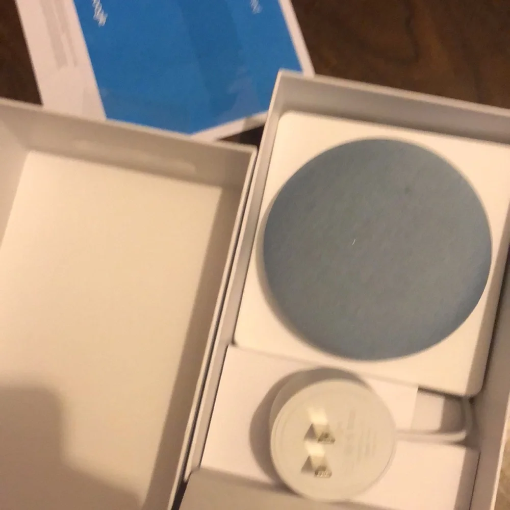 Google Nest Mini
